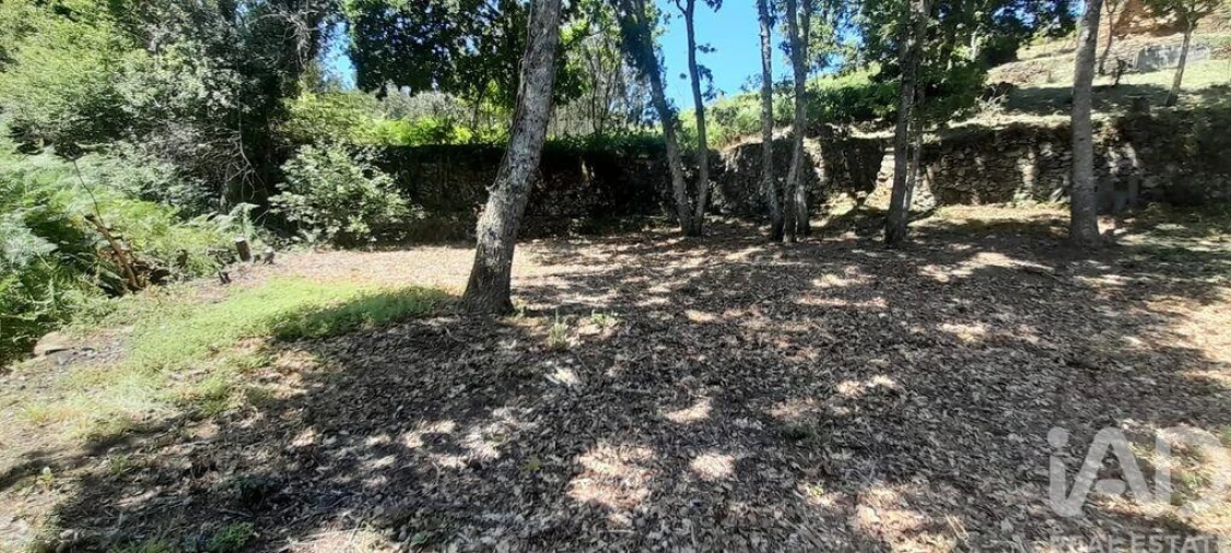 Terreno para Venda em Pedrogão Grande Foto 13