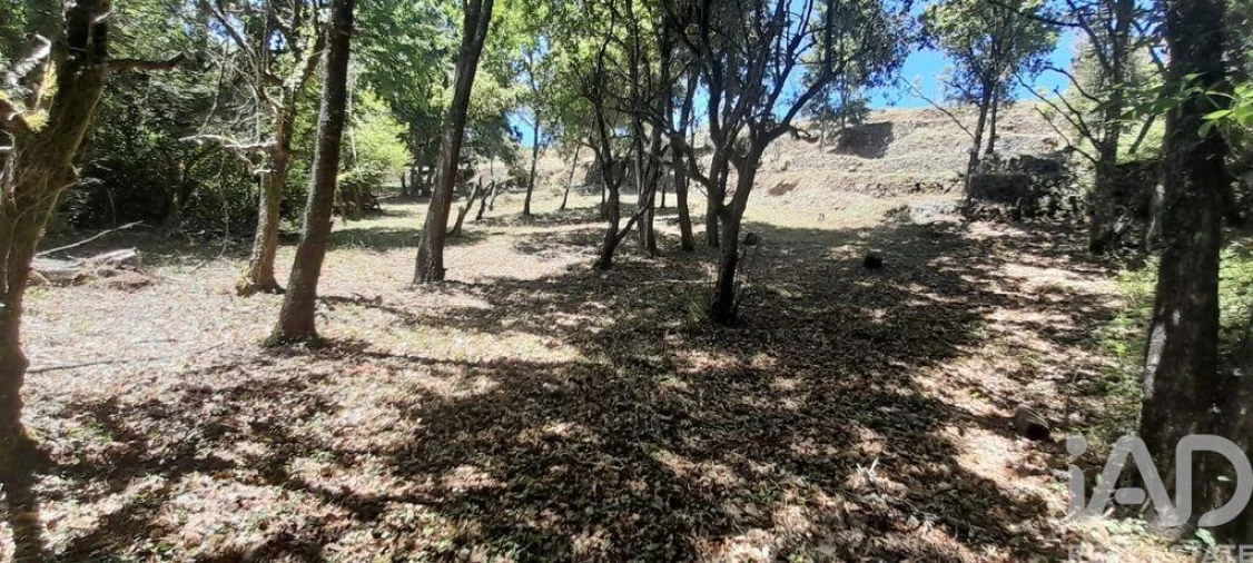 Terreno para Venda em Pedrogão Grande Foto 26