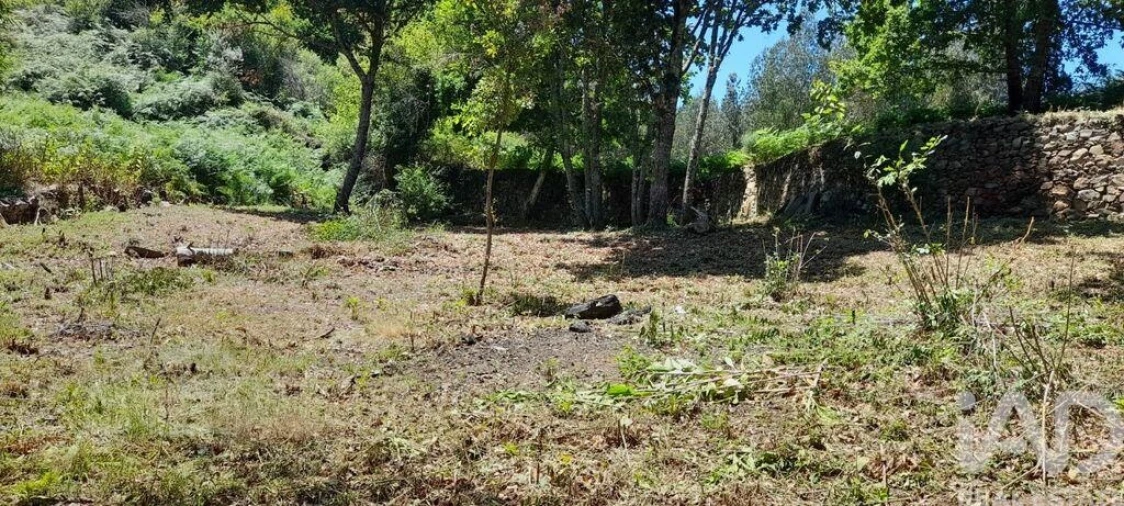Terreno para Venda em Pedrogão Grande Foto 28