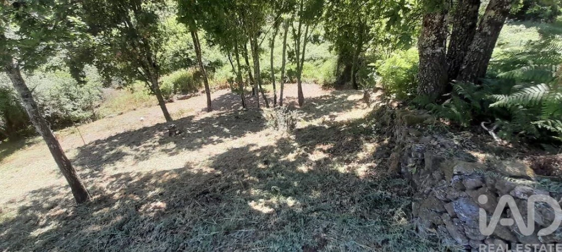 Terreno para Venda em Pedrogão Grande Foto 10