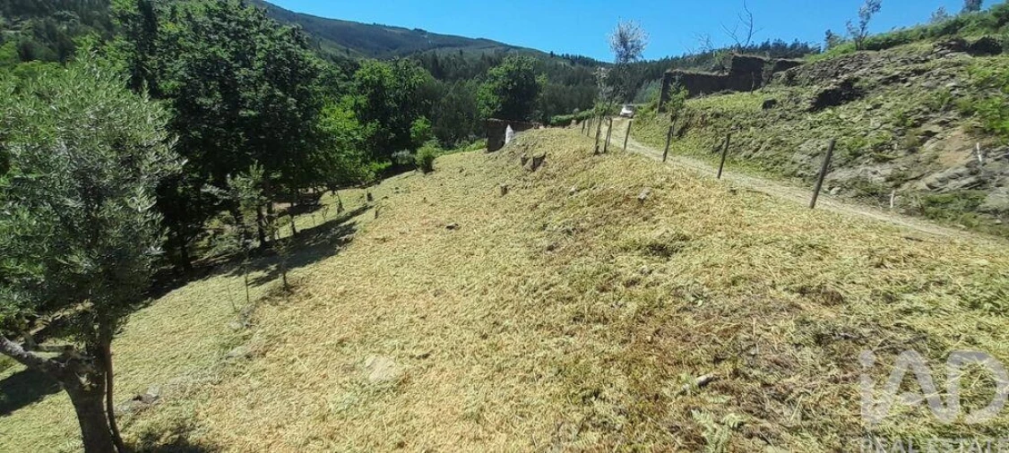 Terreno para Venda em Pedrogão Grande Foto 25