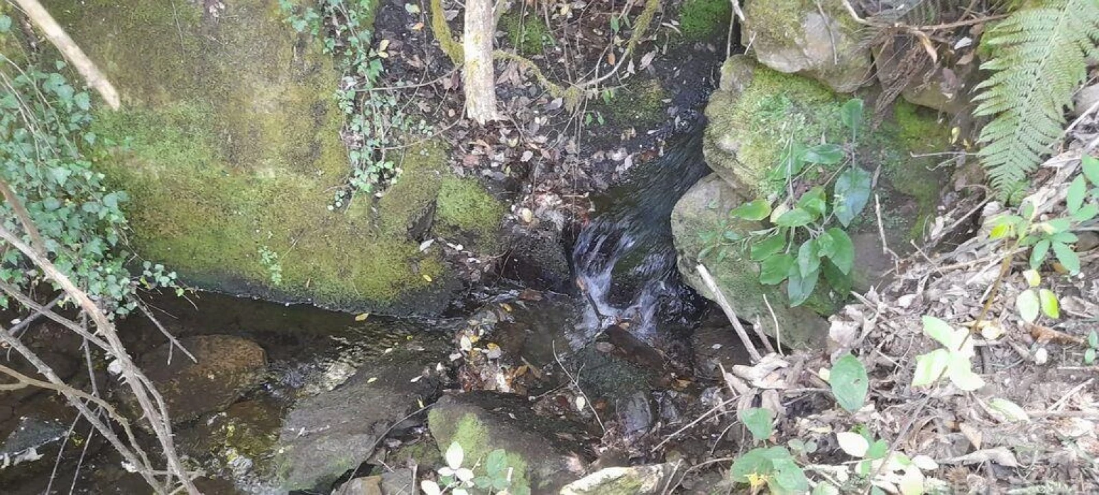 Terreno para Venda em Pedrogão Grande Foto 4