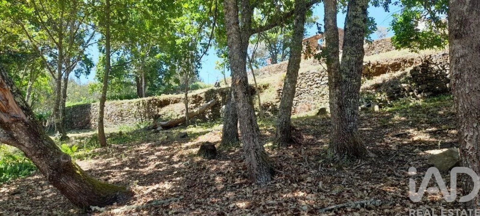 Terreno para Venda em Pedrogão Grande Foto 6