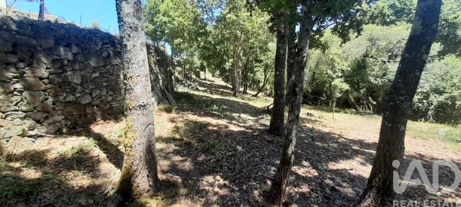 Terreno para Venda em Pedrogão Grande Foto 20