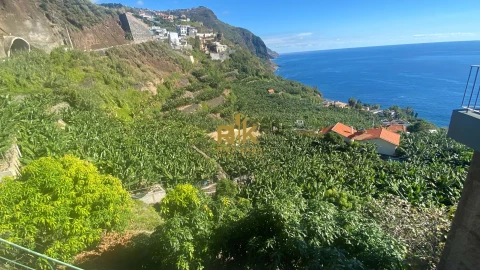Terreno para Venda em Arco da Calheta