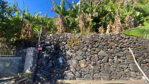 Terreno para Venda em Arco da Calheta