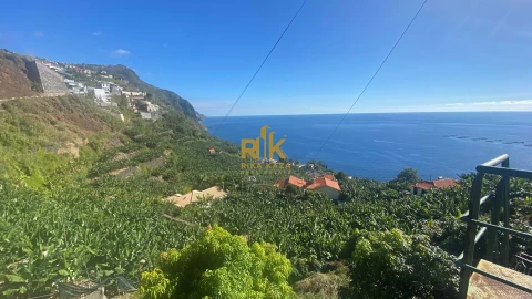 Terreno para Venda em Arco da Calheta