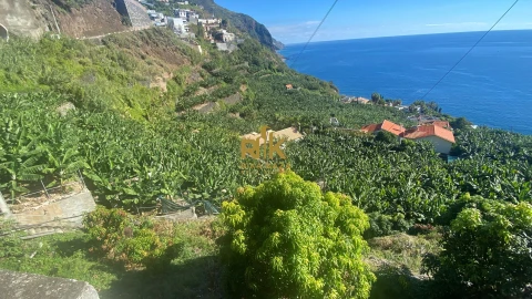 Terreno para Venda em Arco da Calheta