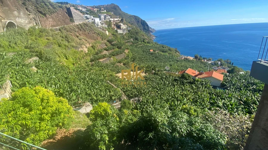 Terreno para Venda em Arco da Calheta Foto 9