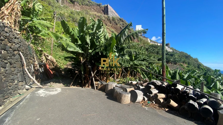 Terreno para Venda em Arco da Calheta Foto 4