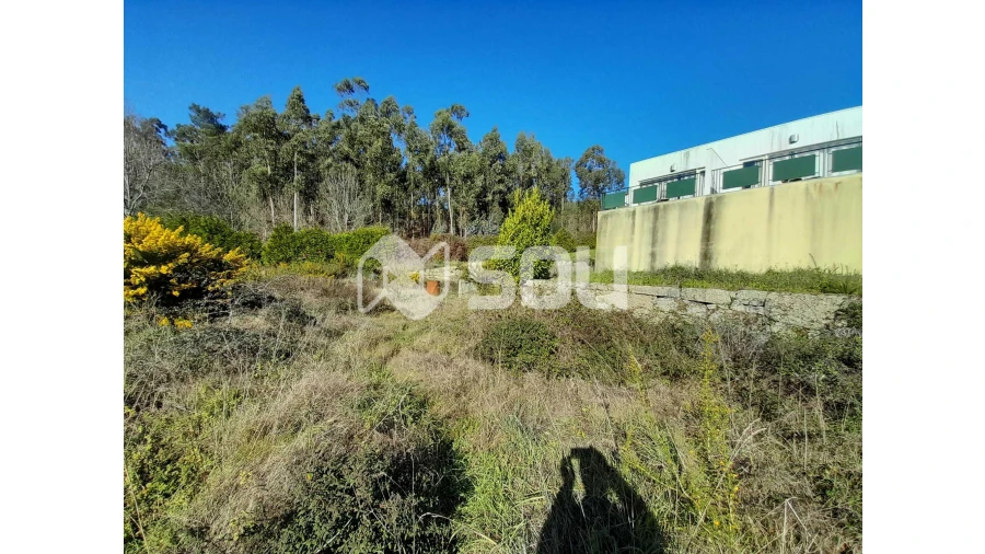 Quinta T6 para Venda em Abragão Foto 2