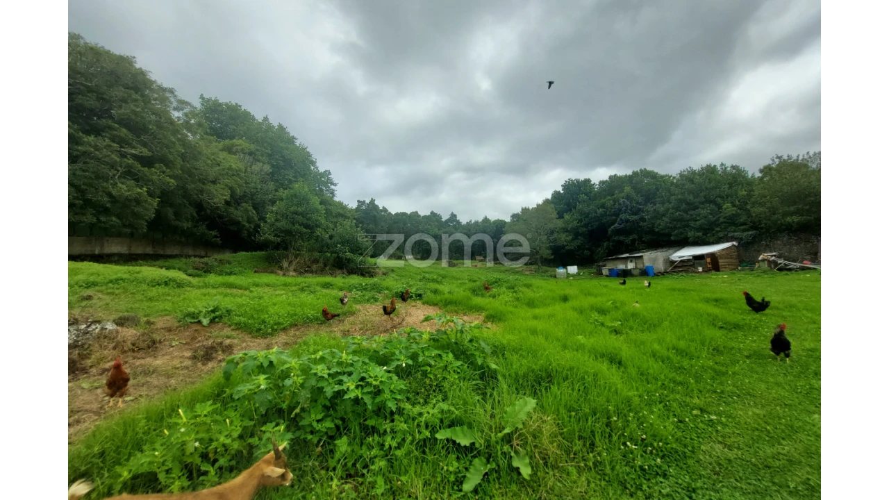 Terreno para Venda em Cabouco Foto 3