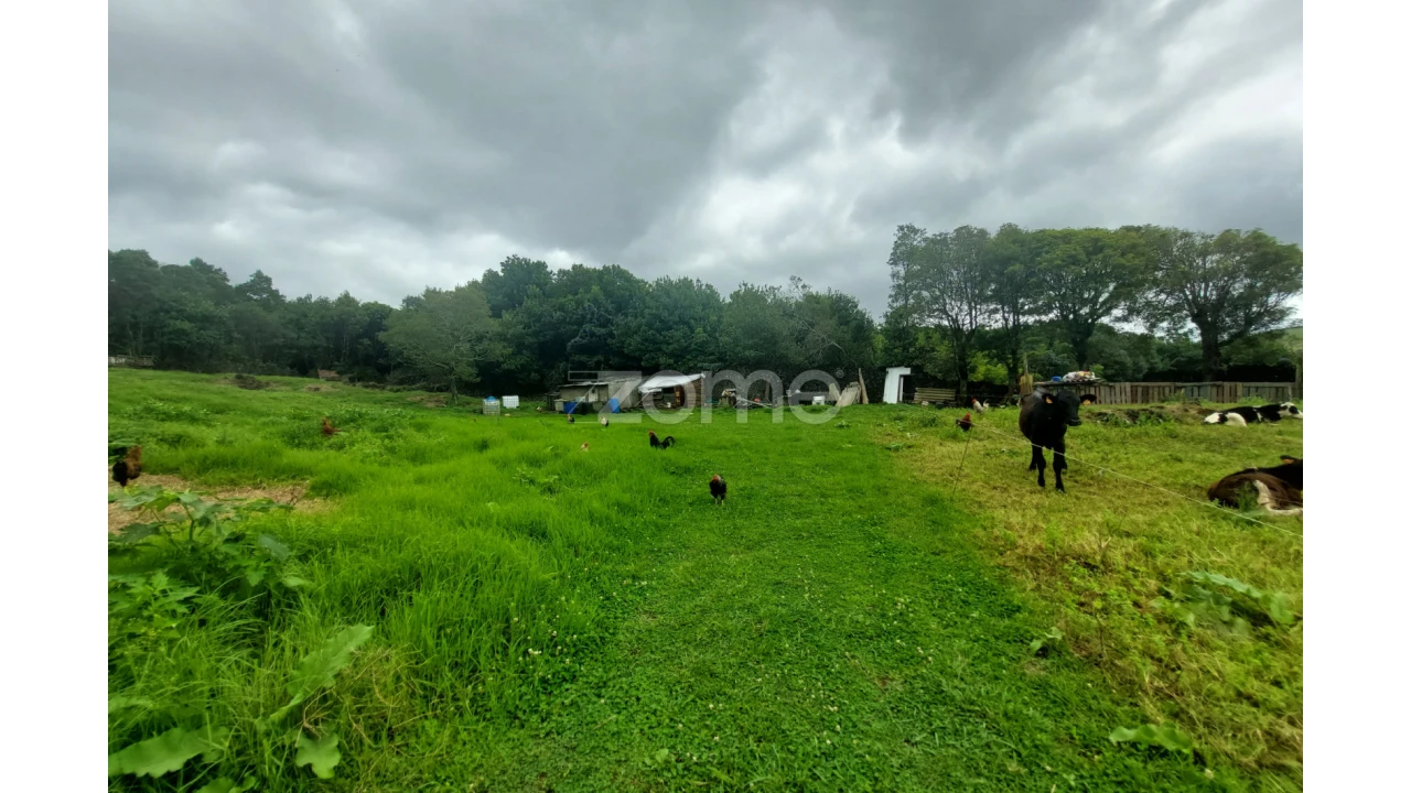Terreno para Venda em Cabouco Foto 4