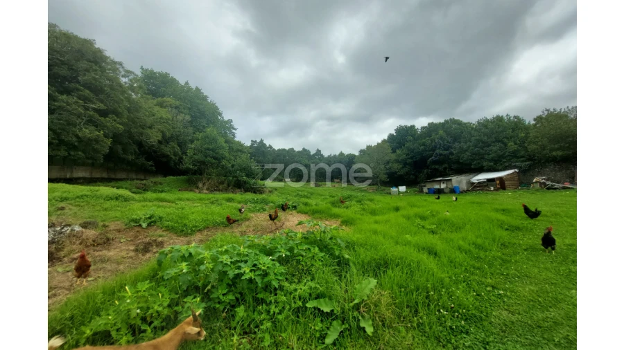 Terreno para Venda em Cabouco Foto 4