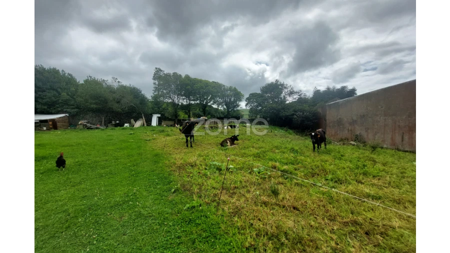Terreno para Venda em Cabouco Foto 6