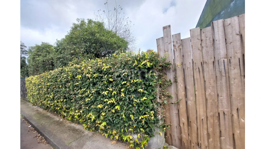 Terreno para Venda em Cabouco Foto 8