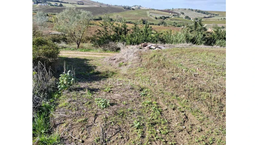 Terreno para Venda em Santa Maria, São Pedro e Matacães Foto 6