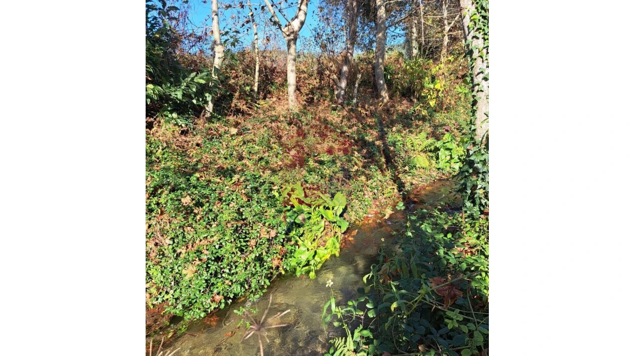 Terreno para Venda em Oriz (Santa Marinha) e Oriz (São Miguel) Foto 5
