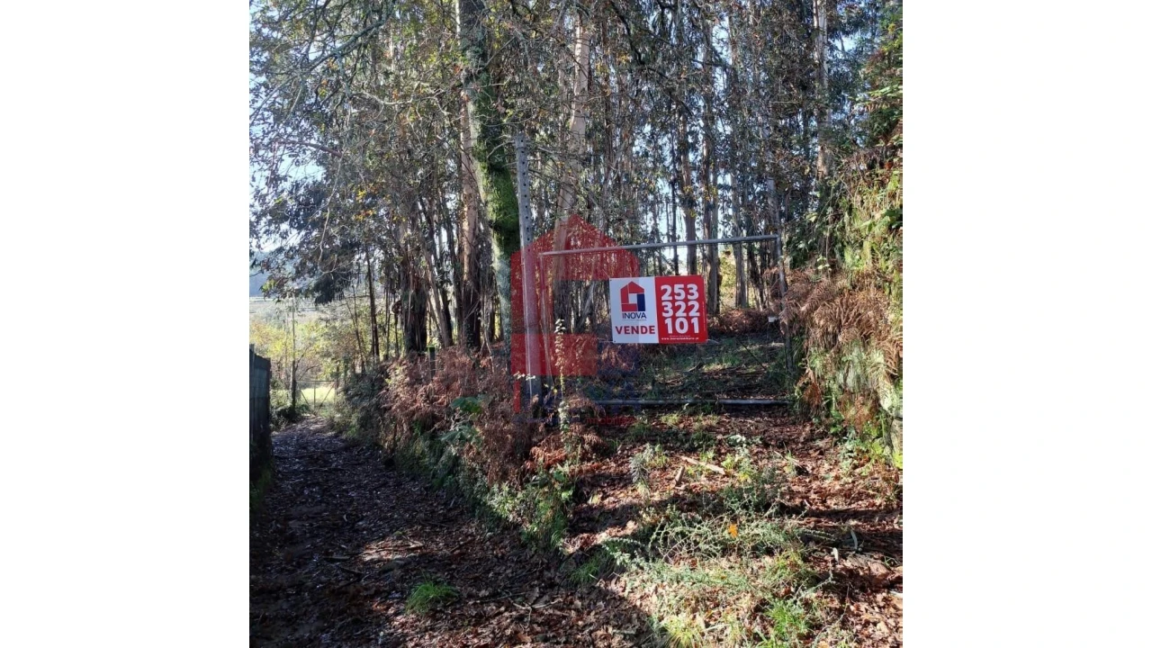 Terreno para Venda em Oriz (Santa Marinha) e Oriz (São Miguel) Foto 8