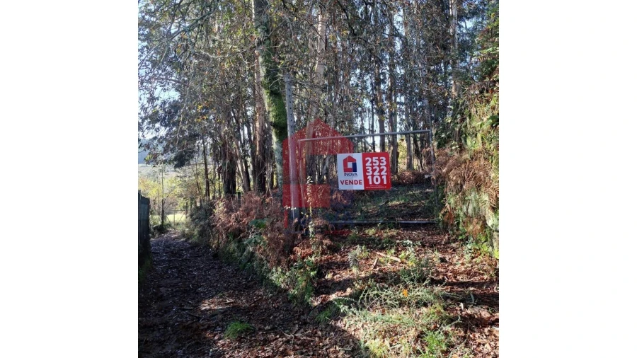 Terreno para Venda em Oriz (Santa Marinha) e Oriz (São Miguel) Foto 8