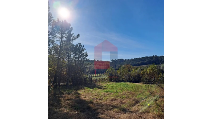 Terreno para Venda em Oriz (Santa Marinha) e Oriz (São Miguel) Foto 3