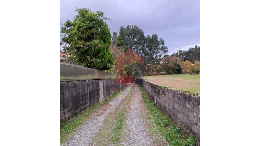 Terreno para Venda em Oriz (Santa Marinha) e Oriz (São Miguel) Foto 9