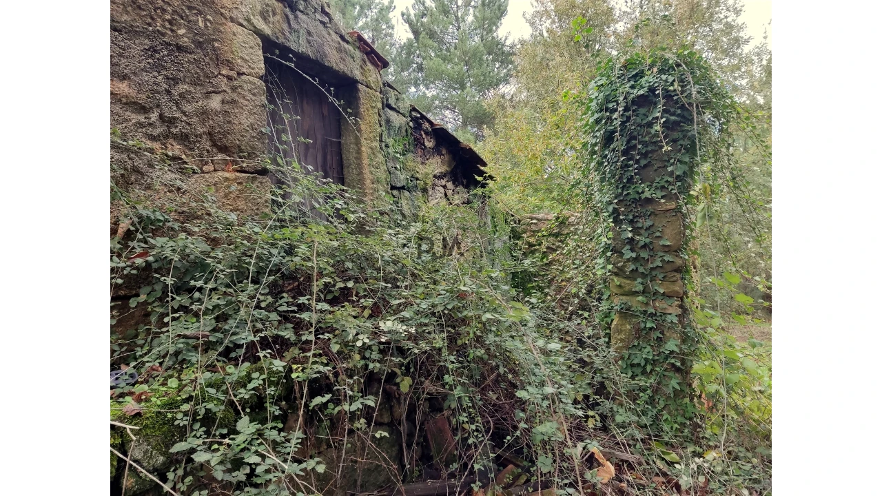 Quinta T0 para Venda em Castelo de Penalva Foto 5
