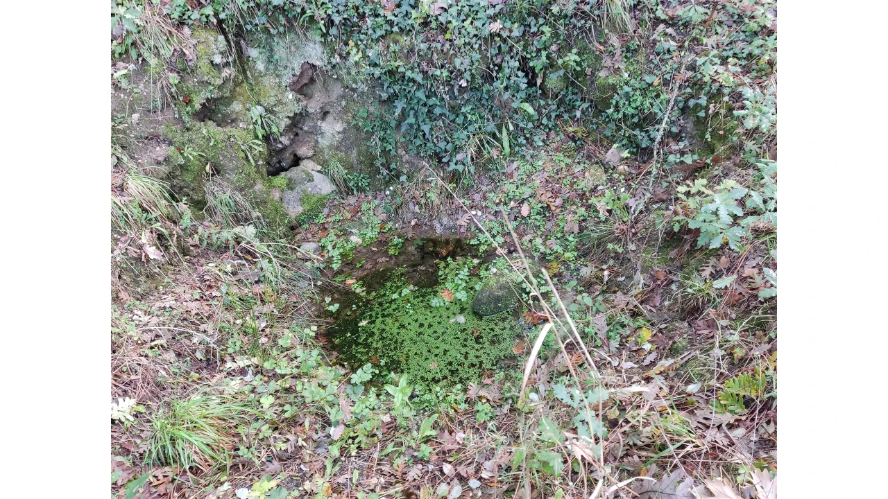 Quinta T0 para Venda em Castelo de Penalva Foto 15