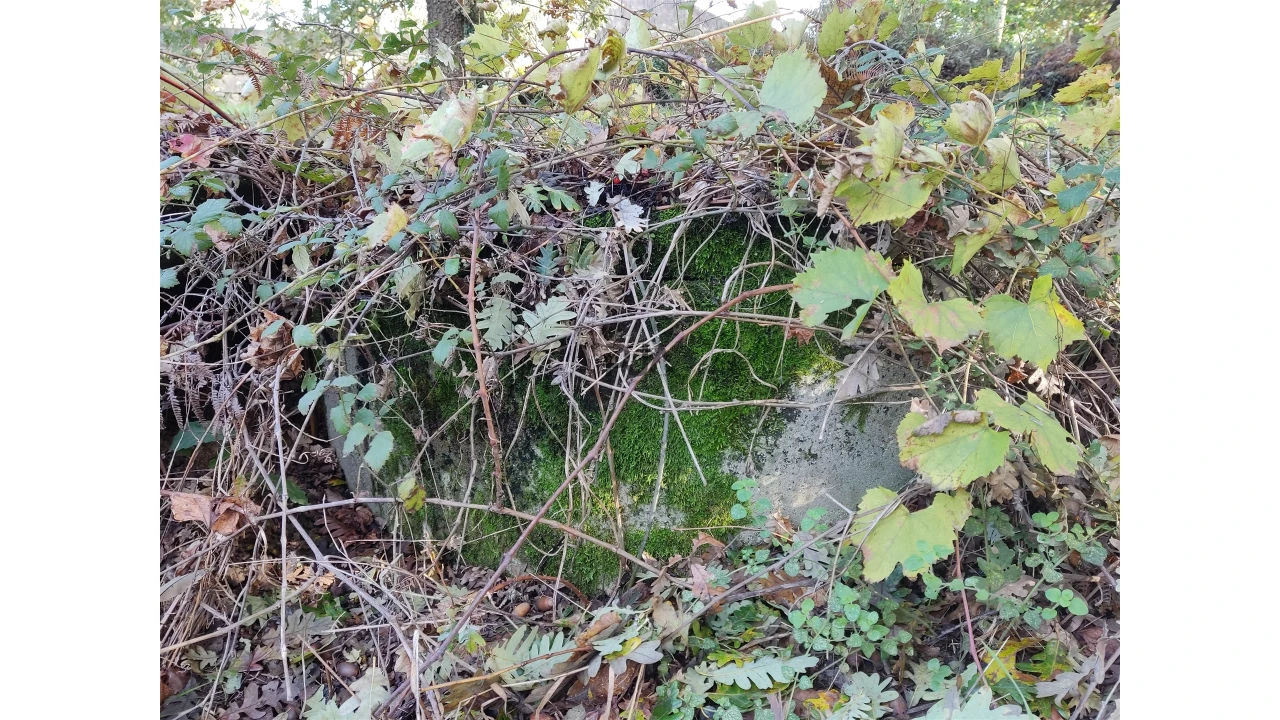 Quinta T0 para Venda em Castelo de Penalva Foto 16