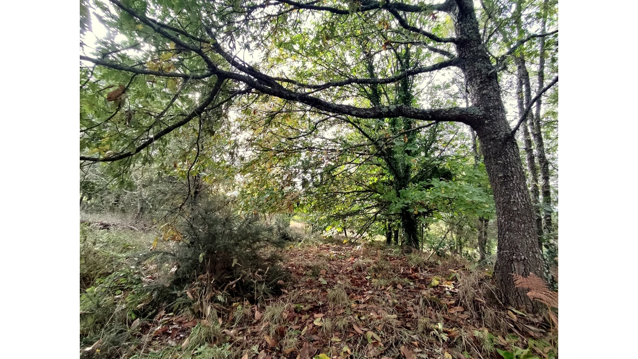 Quinta T0 para Venda em Castelo de Penalva Foto 12