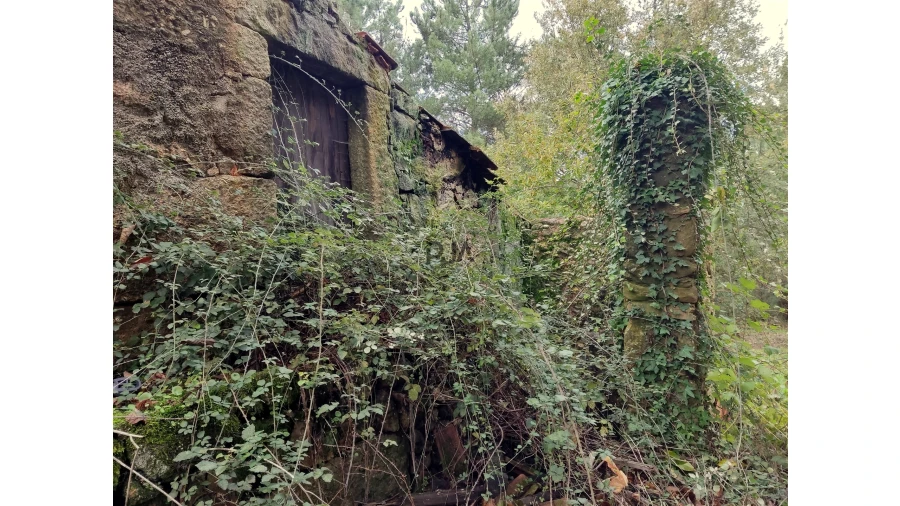 Quinta T0 para Venda em Castelo de Penalva Foto 5