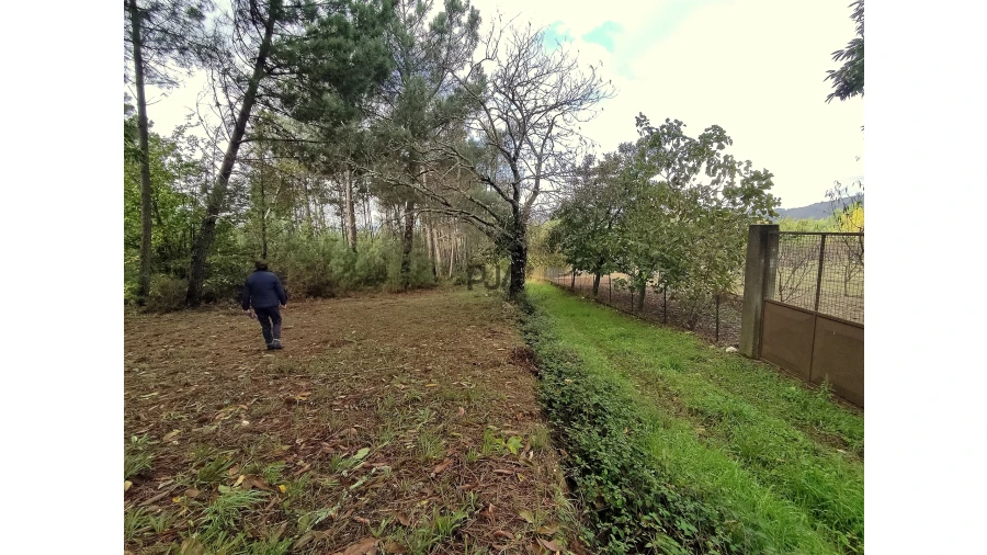 Quinta T0 para Venda em Castelo de Penalva Foto 14