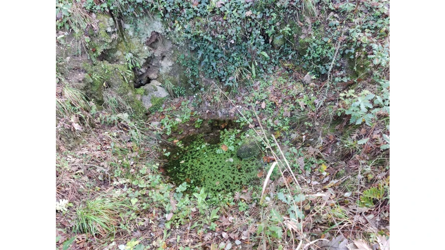 Quinta T0 para Venda em Castelo de Penalva Foto 15