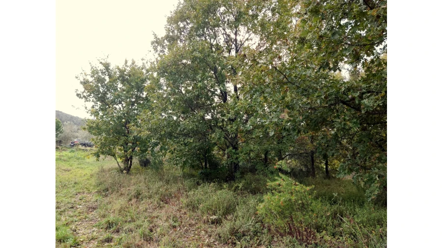 Quinta T0 para Venda em Castelo de Penalva Foto 11