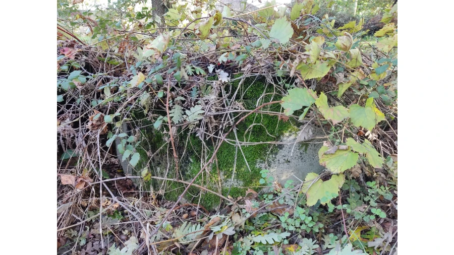 Quinta T0 para Venda em Castelo de Penalva Foto 16