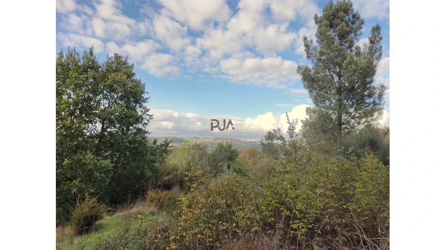 Quinta T0 para Venda em Castelo de Penalva Foto 10