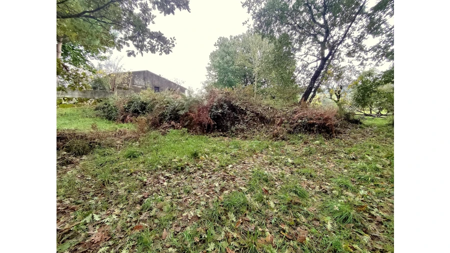 Quinta T0 para Venda em Castelo de Penalva Foto 13