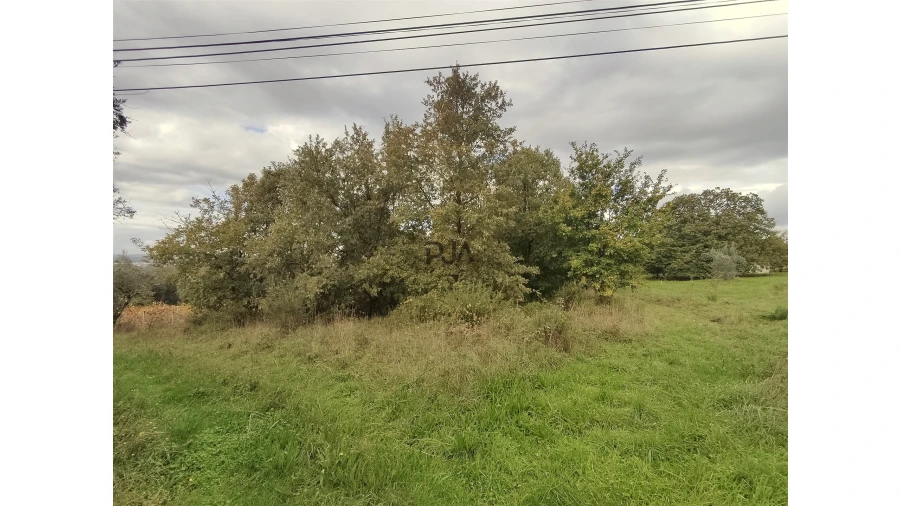 Quinta T0 para Venda em Castelo de Penalva Foto 7
