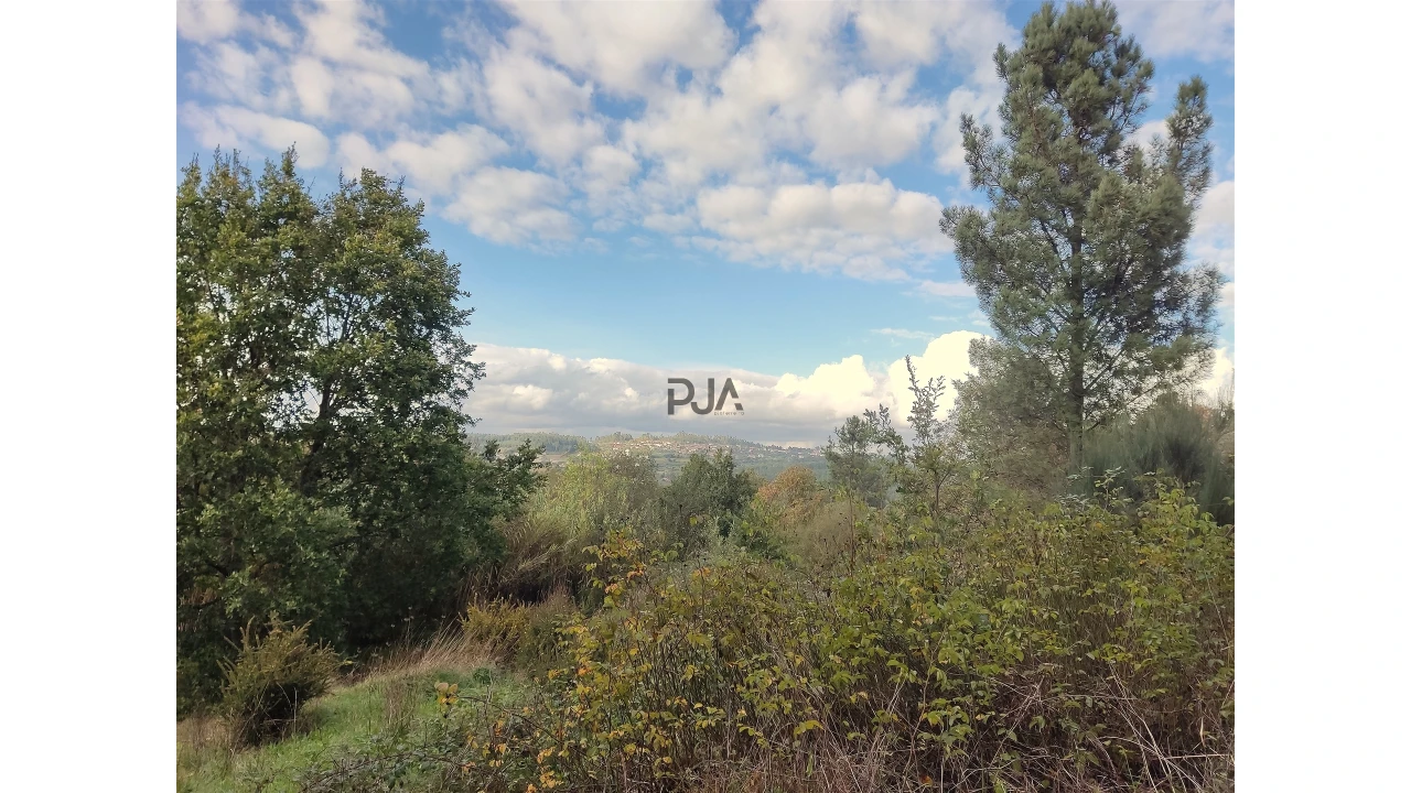 Quinta T0 para Venda em Castelo de Penalva Foto 10