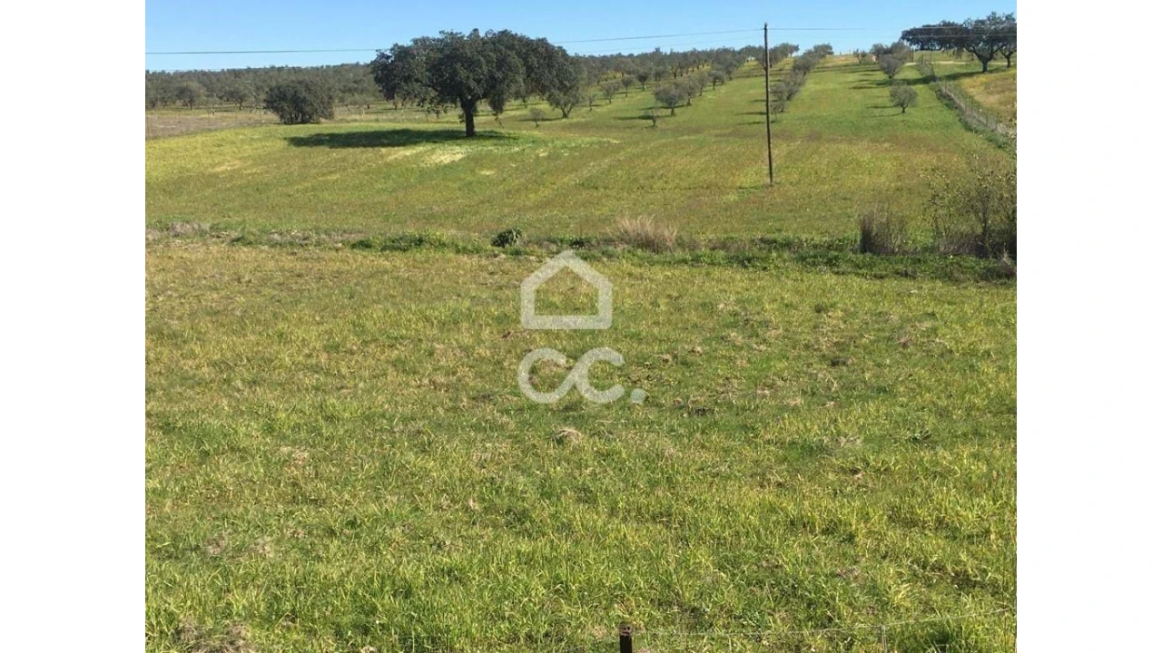 Terreno para Venda em Amareleja Foto 8