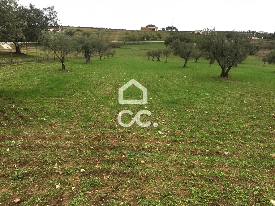 Terreno para Venda em Amareleja Foto 1