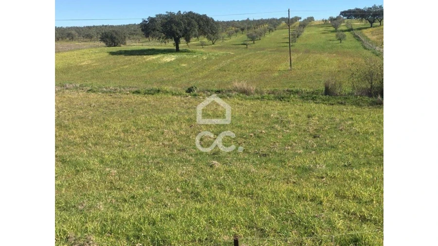 Terreno para Venda em Amareleja Foto 8