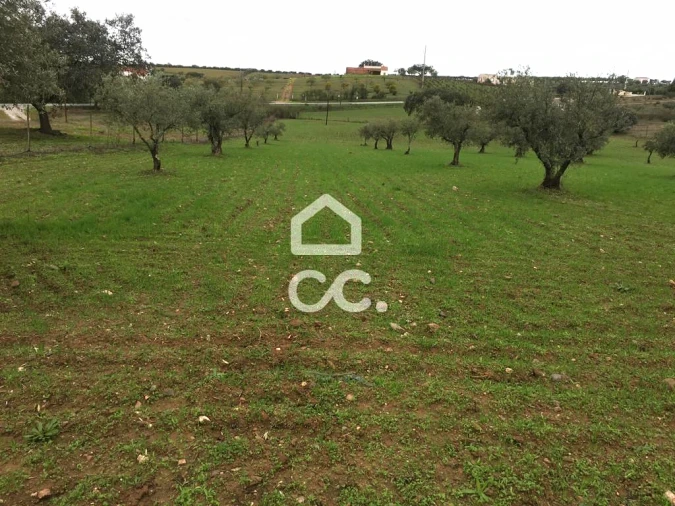 Terreno para Venda em Amareleja Foto 5