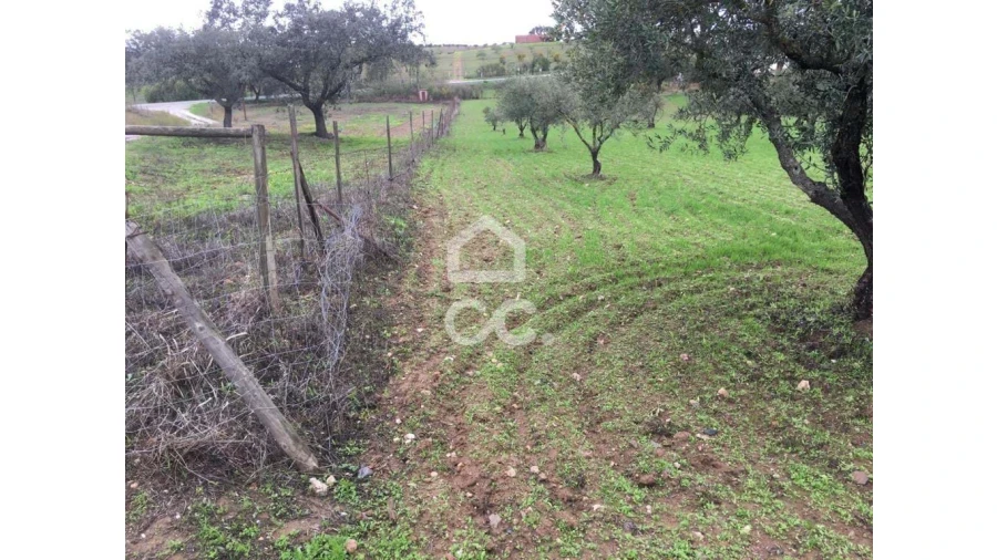 Terreno para Venda em Amareleja Foto 9