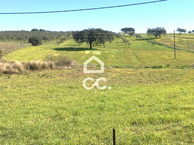 Terreno para Venda em Amareleja Foto 6
