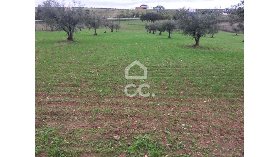 Terreno para Venda em Amareleja Foto 7