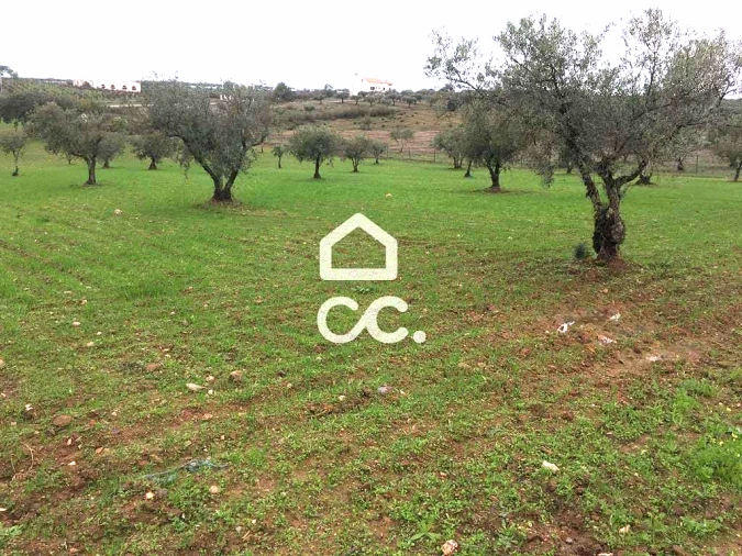 Terreno para Venda em Amareleja Foto 2