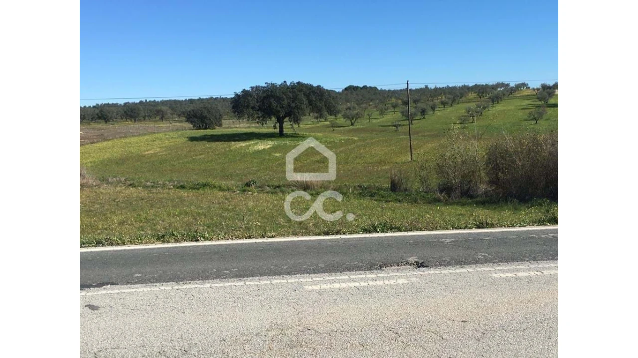 Terreno para Venda em Amareleja Foto 10