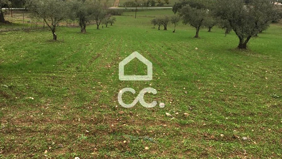 Terreno para Venda em Amareleja