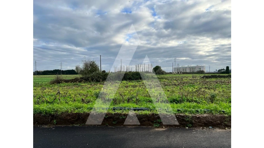 Moradia para Venda em Glória e Vera Cruz Foto 12